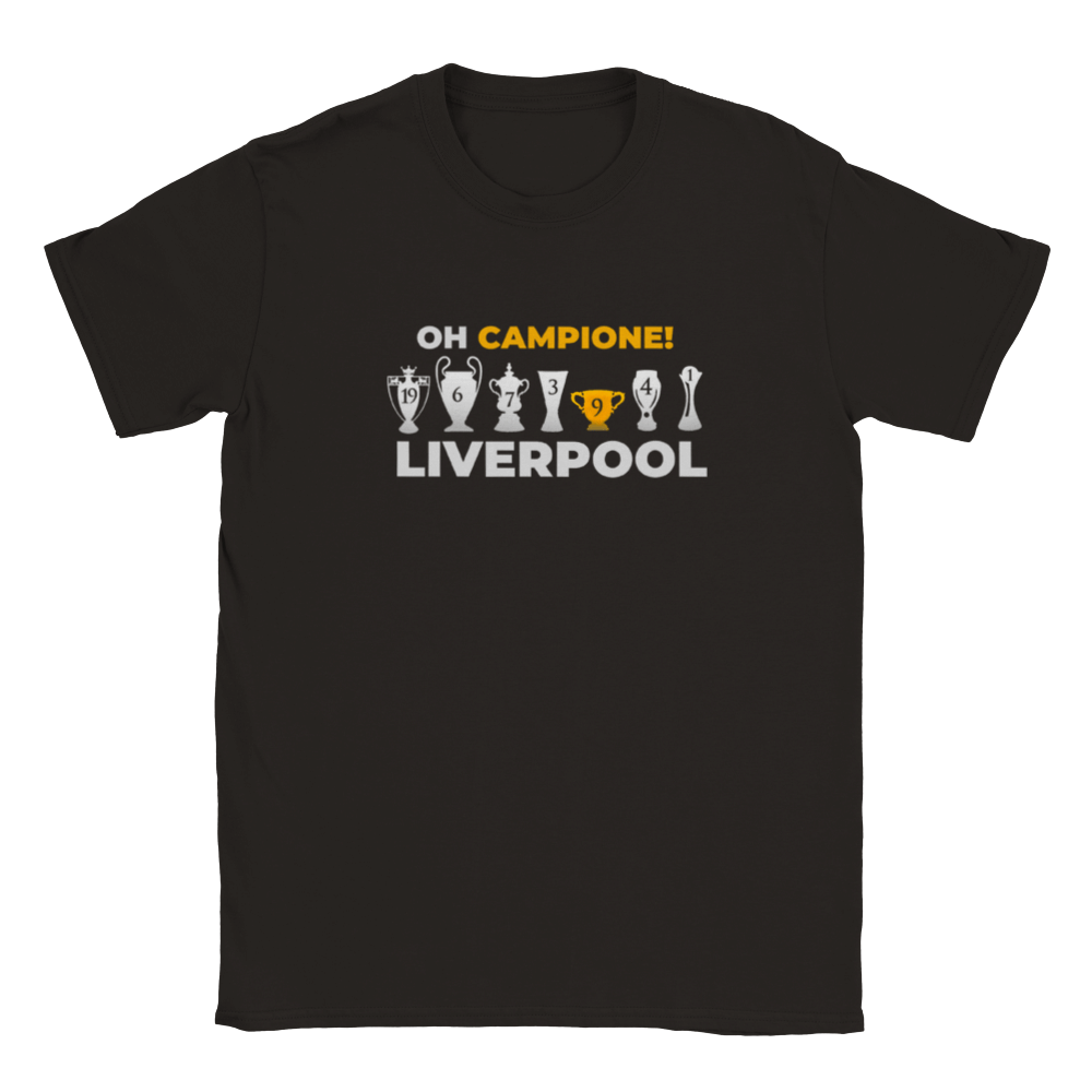 Liverpool Champions of England T-Shirt-Grigio 